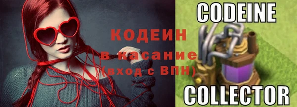 сатива Абаза