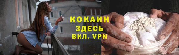 сатива Абаза