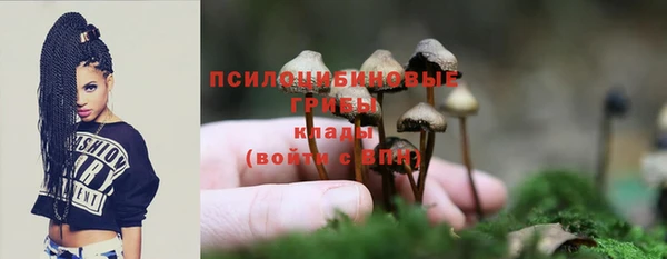 МДПВ Абинск
