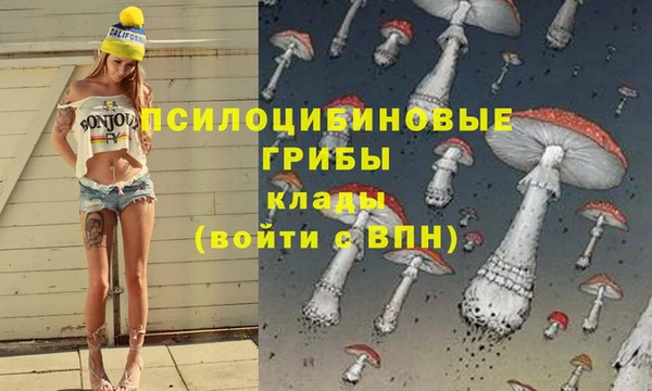 МДПВ Абинск