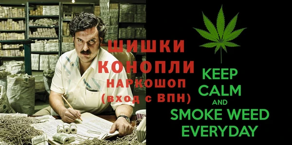 МДПВ Абинск