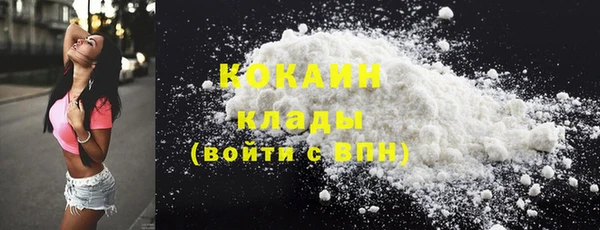 сатива Абаза
